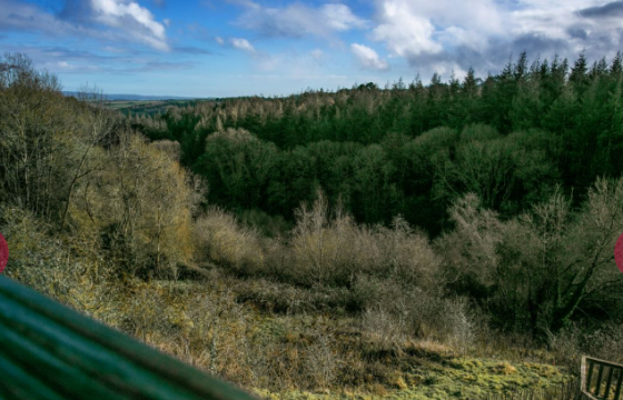 Plot with PP in  Exeter photo